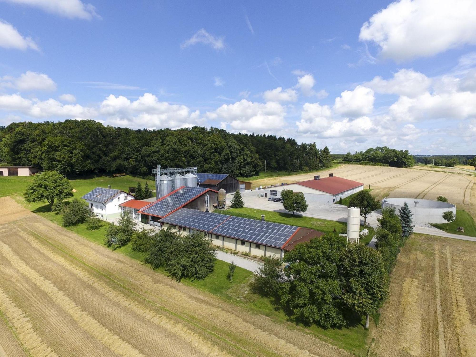 Hof Am Horn - Fewos In Der Natur Laichingen Exteriör bild